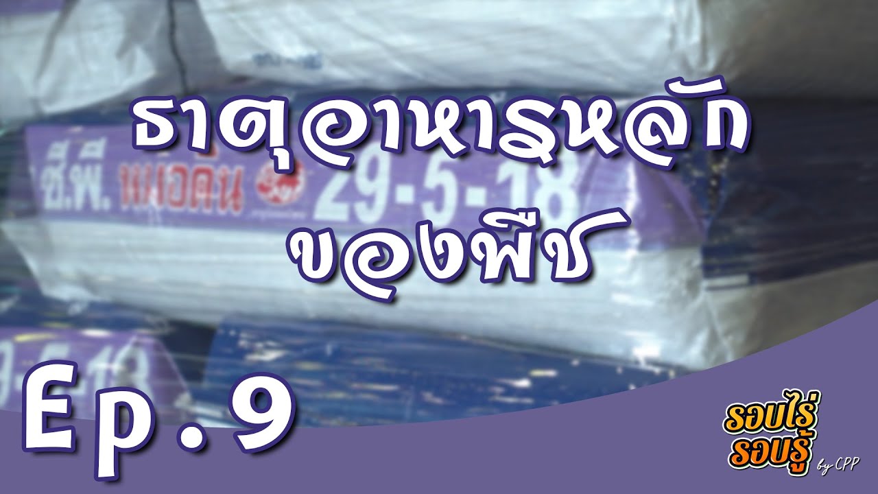 รอบไร่รอบรู้ EP.09 : ธาตุอาหารหลักของพืช