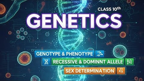 Genetics Some Basic Fundamentals Class-10 ICSE Biology | Sex Determination 