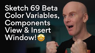 Sketch 69 Beta Color Variables, Component View and & Insert Window screenshot 3
