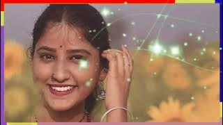 naa sakkanodo dj remix song