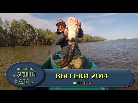 ловля сома на донку с лодки в астраханской области