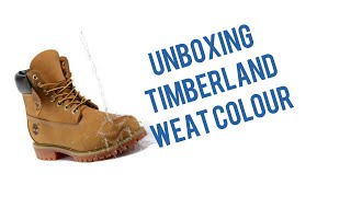 Timberland 6 Inch Weat colour Review in PUNJABI for Punjabi Timberland Shoe lover