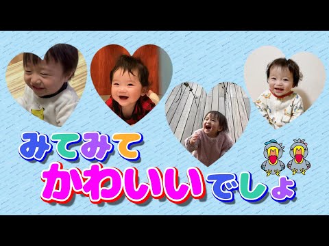 「キキー！！」がツ ボ/いないいないばあっ！/届きそう！届かない！/笑いが止まらない！