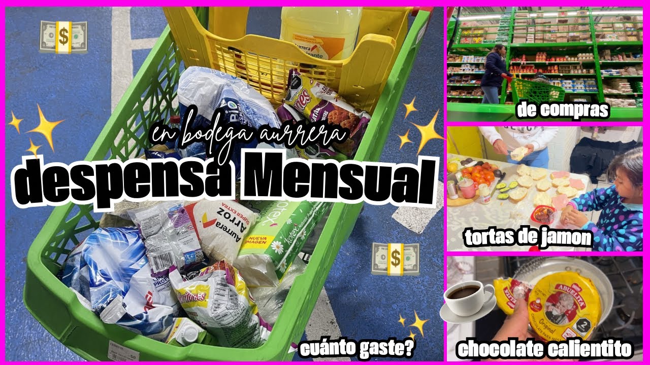 DESPENSA MENSUAL en BODEGA AURRERA 💸 ¿Cuánto gasté? | Lo necesario para mi hogar
