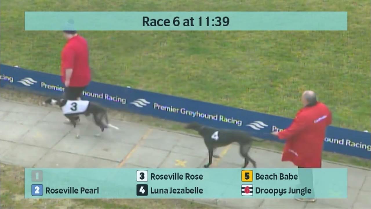 Crayford Races on Saturday 18th February 2023 Golden Jacket Final