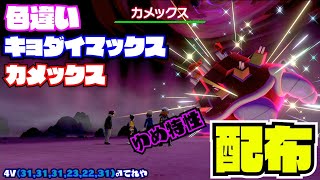14 30 1時間半 ポケモン剣盾 色違い キョダイマックス カメックス 配布 Nintendo Switch 27ch Youtube 14 30 1時間半 ポケモン剣盾 色違い キョダイマックス カメックス 配布 Nintendo Switch 27ch Youtube