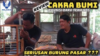 EDAN SIH INI KALO BENER NYATA !!! AMUNISI BARU BURUNG MERPATI YANG KONON KATANYA BELI DARI PASAR