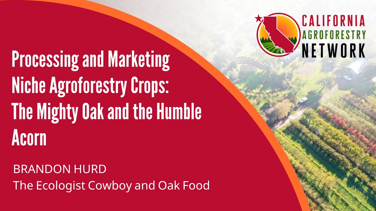Processing and Marketing Niche Crops: The Mighty Oak and the Humble Acorn