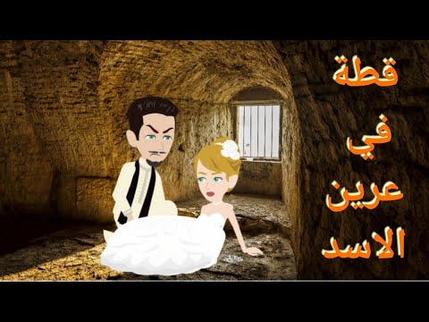 قطة في عرين الاسد