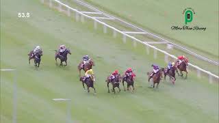 25TH JULY 2026 RACE 3