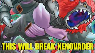 This Will BREAK Xenovader!!! Immortal Phoenix! Yu-Gi-Oh!