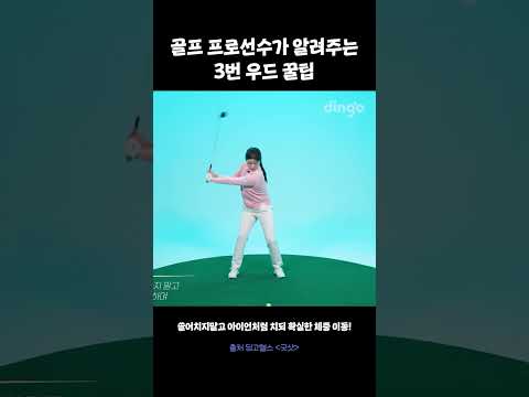 3번 우드 잘 치는 꿀팁! 이렇게 치시면 됩니다 #굿샷