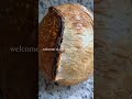 I think I like this little life ✨ #sourdoughclub #sourdoughbaking #sourdoughrecipe #sourdoughdiscard