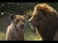 Simba And Nala Tribute {2019/1994} ~ Can You Feel The Love Tonight ~ Elton John ~ DESCRIPTION