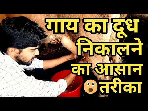 वीडियो: बेक किया हुआ दूध खुद कैसे बनाएं