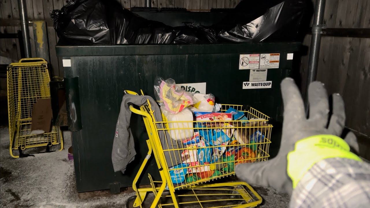 Dumpster Diving Dollar General 52 Free Grocery Shopping! YouTube