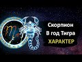 Скорпион в год Тигра - характер