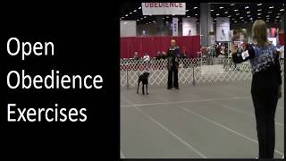 Open Obedience Exercises