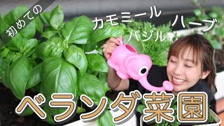 【自給自足】超初心者が手探りで家庭菜園始めてみた！プランター栽培！！