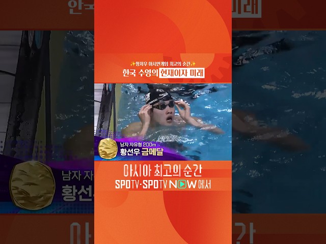 한국 수영의 현재이자 미래 #SPOTV아시안게임