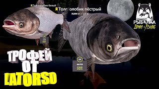 Русская рыбалка 4.🎣🦈 р. Сура 🐋🐳💦 ТРОФЕЙ от LATORSO 👀