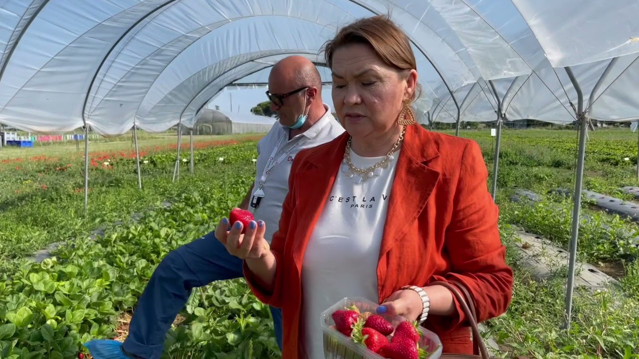 MALGA и ее особенности