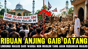 HEBOH‼️RIBUAN ANJING GAIB DATANG LINDUNGI MASJID DARI WARGA NON MUSLIM YANG AKAM ROBOHKAN MASJID
