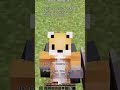 Raposa 🦊