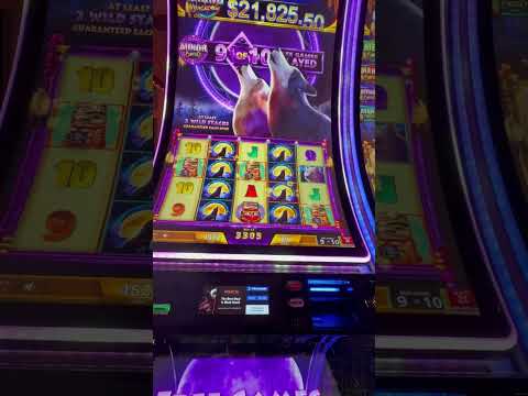 Spill din Sild op i Winnerz Casino - Det Online Kasino, der Garanterer Vindere!
