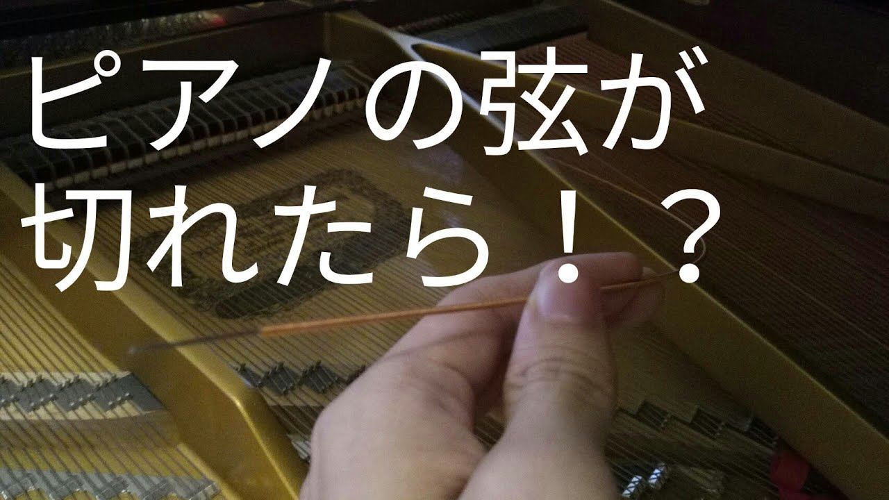 ピアノの弦が切れるとどうなる!?高音と低音の両方切れました…。 - YouTube