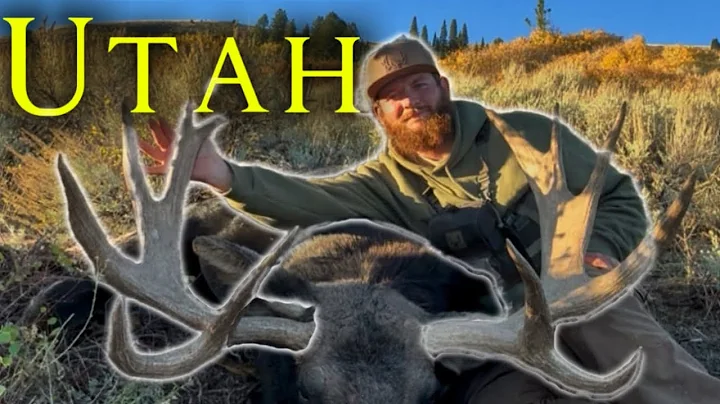 2025 Utah Moose Hunt  & 200” Mule Deer | ONCE In A LIFETIME!