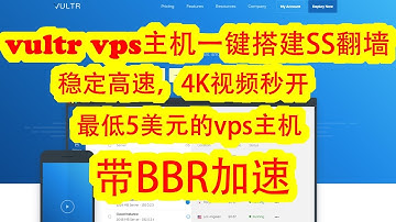 【苍老湿】vultr vps主机一键搭建ss高速翻墙教程，带BBR加速