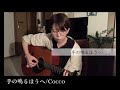 【弾き語り】手の鳴るほうへ/Cocco ギターカバー