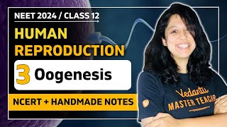 Oogenesis | Human Reproduction | CBSE Class 12 Biology🎯 | Vani Ma&#39;am | VEER NEET Batch 2024👩🏻‍⚕️