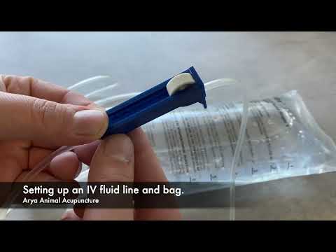 How to Set Up an Intravenous (IV) Fluid Bag For Your Pet At Home