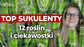 🌵 Top sukulenty - 12 perełek | Flora Point