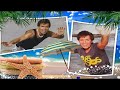 Cliff Richard - Lindsay Jane II