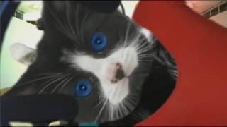 Crusha Kittens Roller Disco Outtake- Errol Hits The Camera