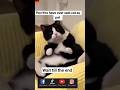 wait till the end