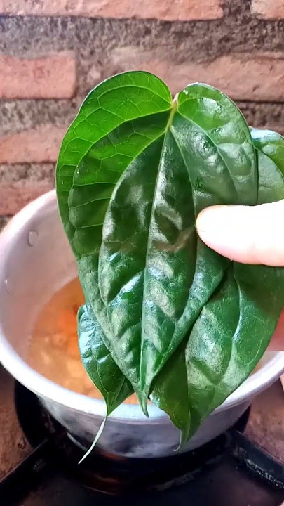 Miss v mu bau ikan asin, coba bahan alami ini #tips #tipsandtricks #tipssehat