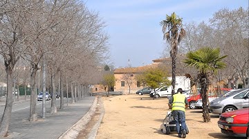 One year of GeoscanHD