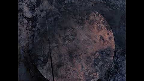 Dycide - Restricted (Delusional Circuits Interpretation)