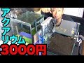 【アクアリウム】3000円で新しい水槽を作ってみた！【エビ日記＃１】