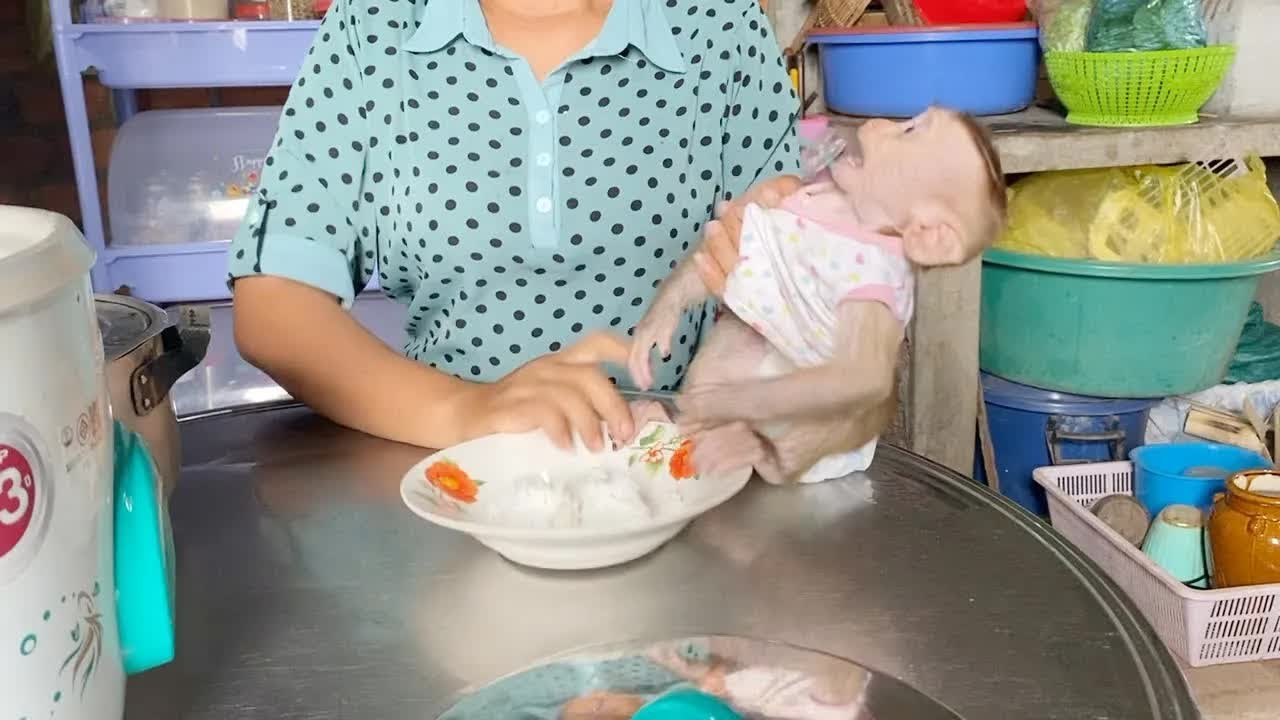 Hungry DAM Impatient To Be Manner For Mom Feed Rice