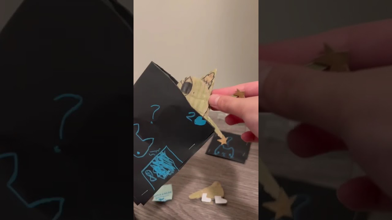 cat blind bag ฅ⁠^⁠•⁠ﻌ⁠•⁠^⁠ฅ