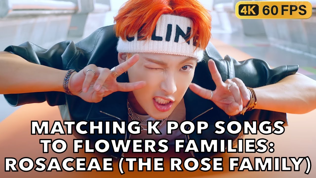 MATCHING K POP SONGS TO FLOWERS FAMILIES: ROSACEAE (THE ROSE FAMILY)