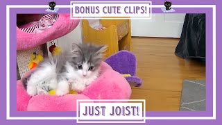 Just Joist!  Bonus Cute Clips!