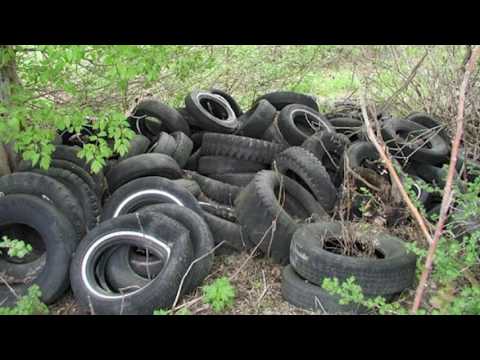 Video: Informacije o Leatherleaf Viburnum - Skrb za grmovnice usnjenega viburnuma