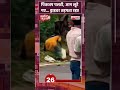 पिकअप पलटी, आम लूटे गए, ड्राइवर तड़पता रहा! #ytshorts #muzzfarpur #viralvideo