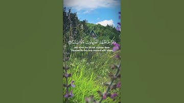 وعباد الرحمن الذين يمشون على الأرض هونا  | القارئ عبد الرحمن الحميداني